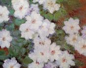 克劳德 莫奈 : Clamatis